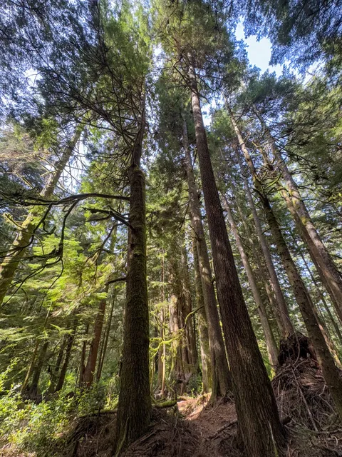 Island Trails Ecotours