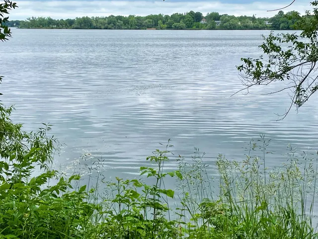 Big Ole Central Park