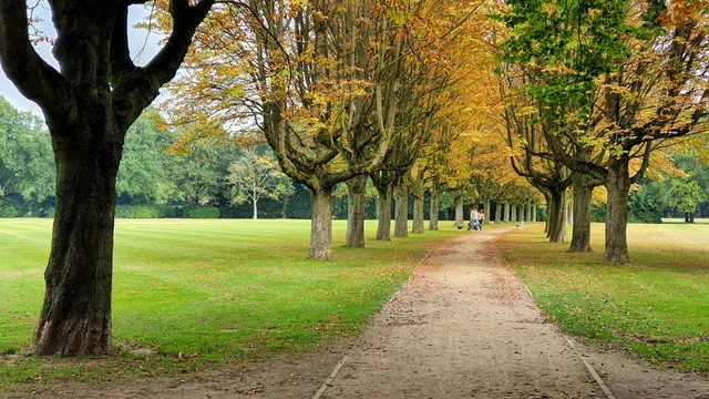 Philips van Lennep Park