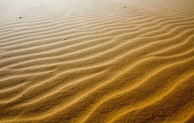 Pacific Pines State Park