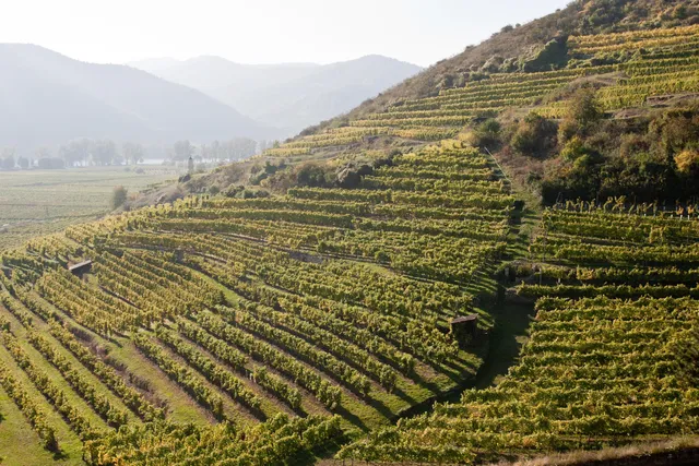 Weingut Tegernseerhof