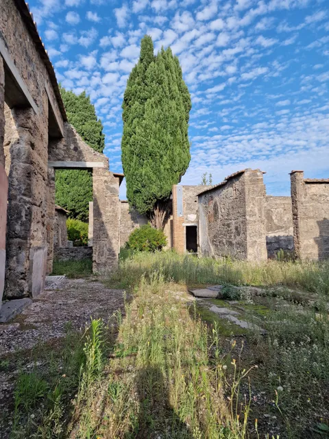 House of the surgeon