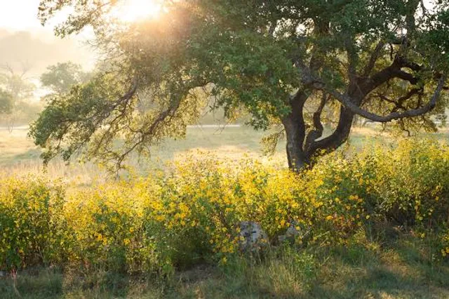 City Of Bee Cave Central Park
