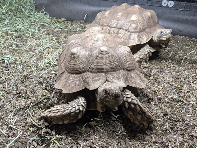 The Wildlife Conservation and Education Center