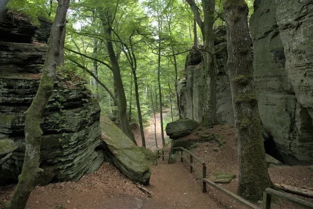 Naturentdeckungspfad