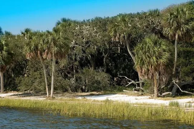 Lower Suwannee National Wildlife Refuge