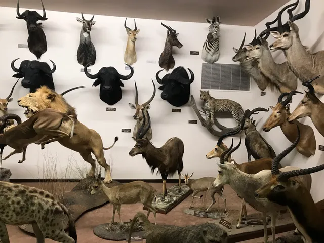 Nelson Museum of the West