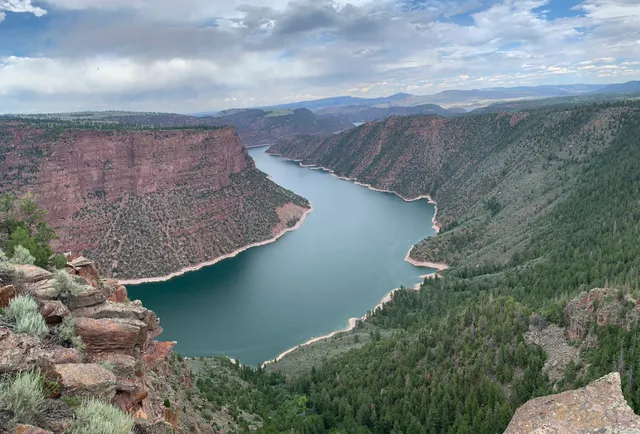 Ashley National Forest