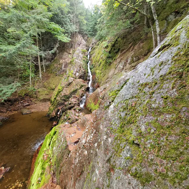 Morgan Falls Parking Lot
