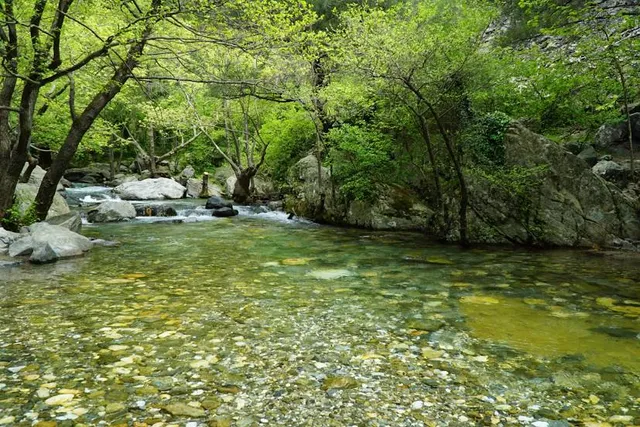 Kazdağı Millî Parkı