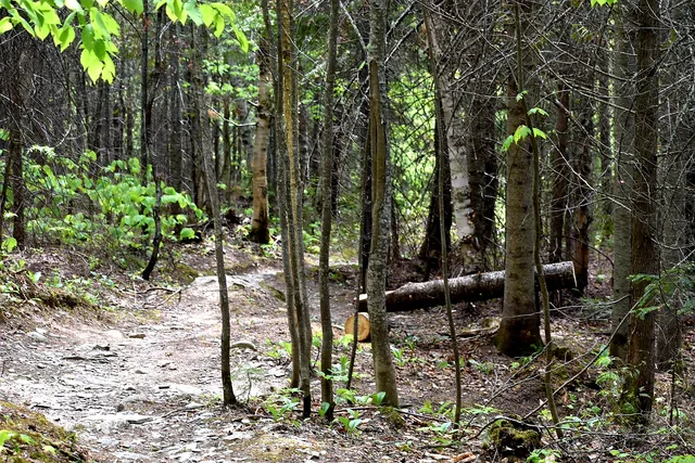 Sentier du Madawaska Trail