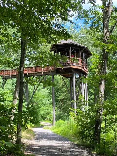 Dave Wenzel Tree House at Nay Aug Park