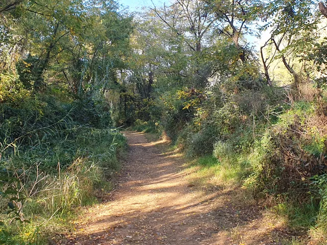 Camí fluvial del riu Tenes