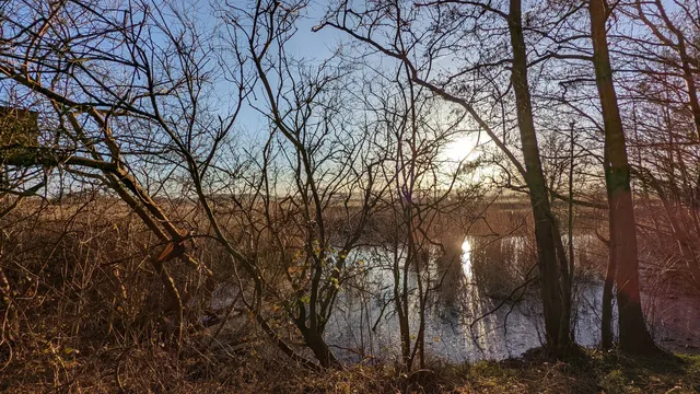 Kronswarder und südöstlicher Teil des Großen Binnensees