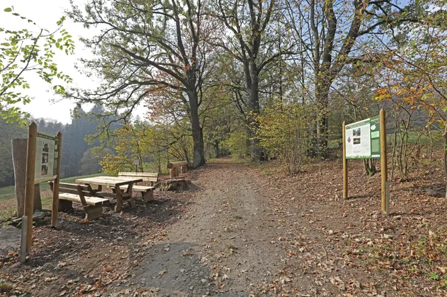 Walderlebnispfad Voithenberg