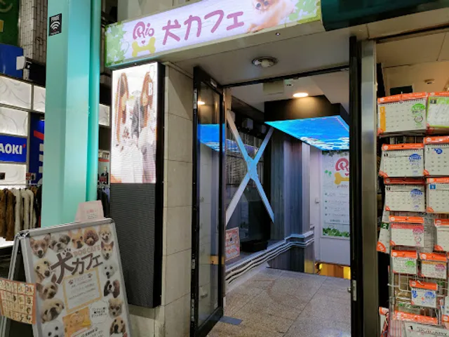 いぬカフェRio 吉祥寺店