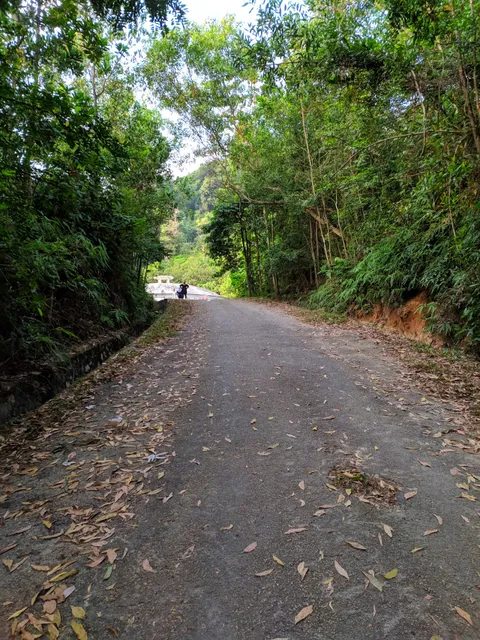 Bukit Kepayang Hiking Trail