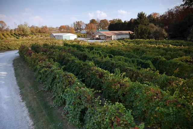 Slate Run Vineyard Winery