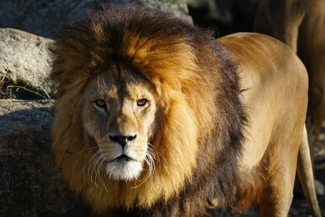 Dschungelwelt, Tierpark Hellabrunn