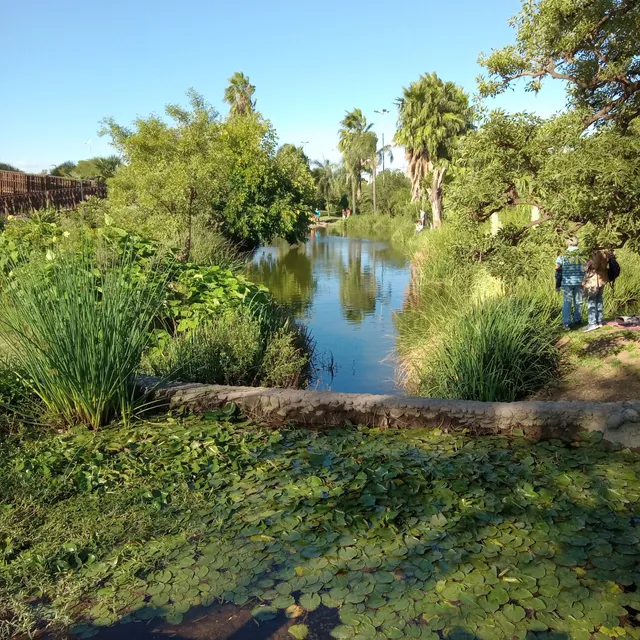 Córdoba Botanical Garden