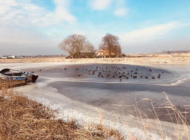 Vereniging De Poldertuin/'t Vissertje