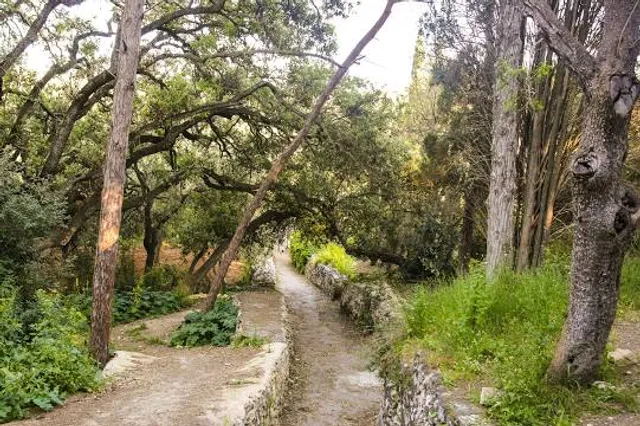 photo-2