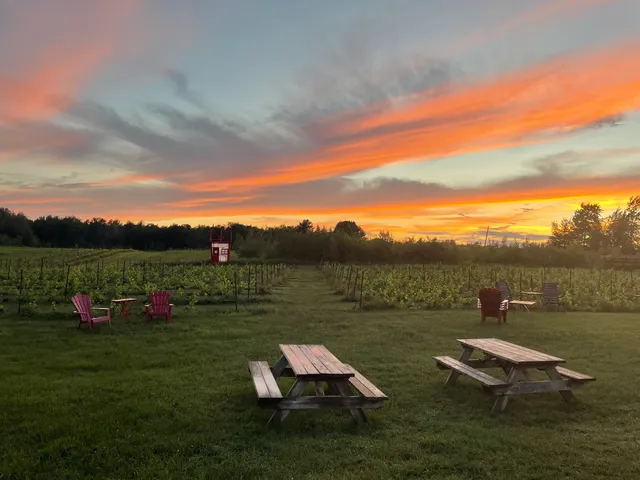 Vignoble La Grenouille