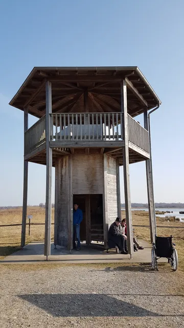 Aussichtsturm Mooswaldsee