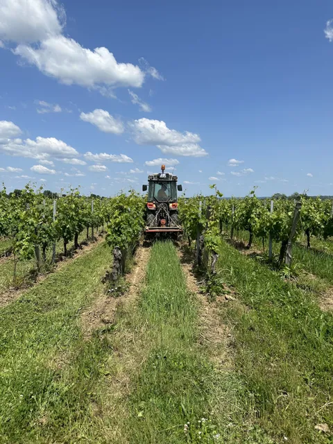 Château Haut Beynat