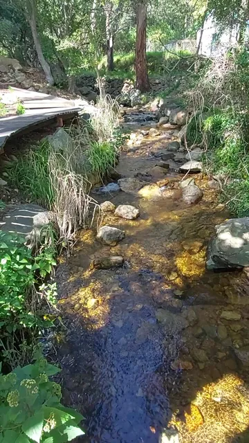Van Riebeeck Park Hiking Trail