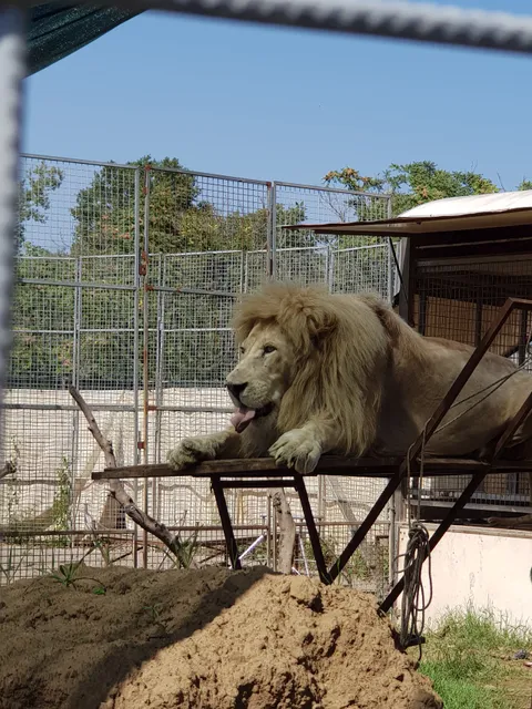 La mia vita è uno zoo - "La Favola Siamo Noi" - M. Faunistica