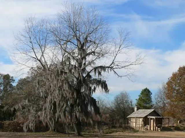 Fort Toulouse-Jackson Park