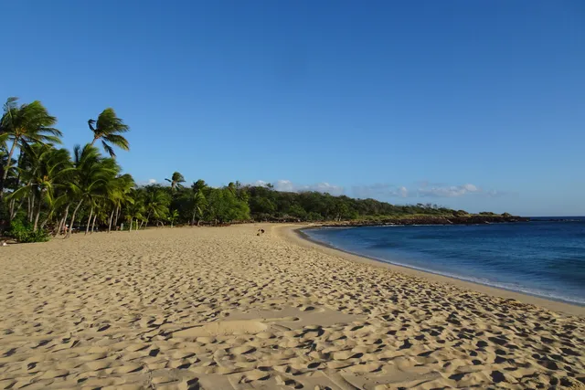 Hulopoʻe Beach