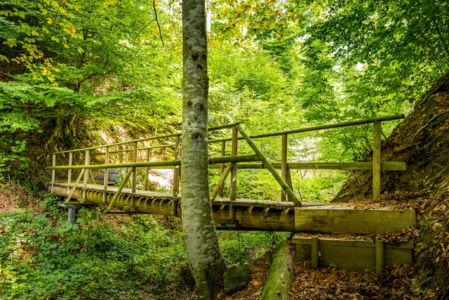 Glögglifroschweg - Rundweg Eichel