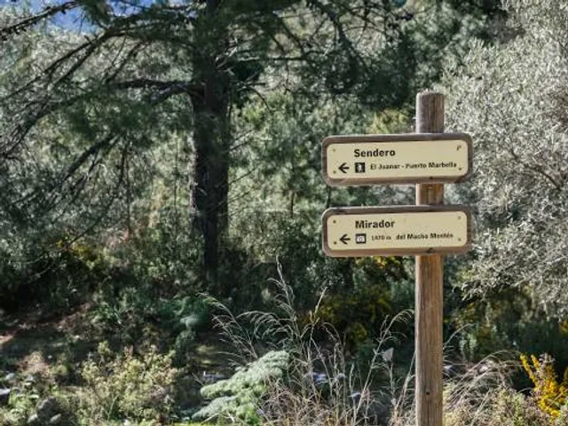 Arroyo de Juana la cerda