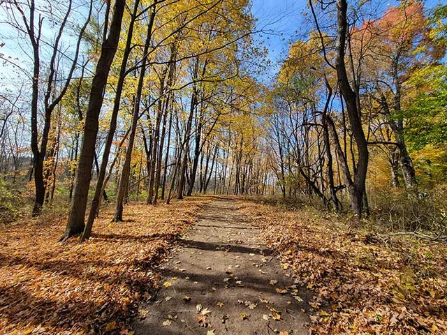 Sharon Nature Preserve