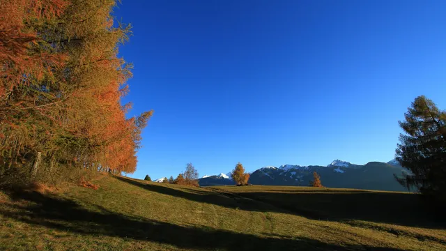 Funivie Alpe Cermis SpA