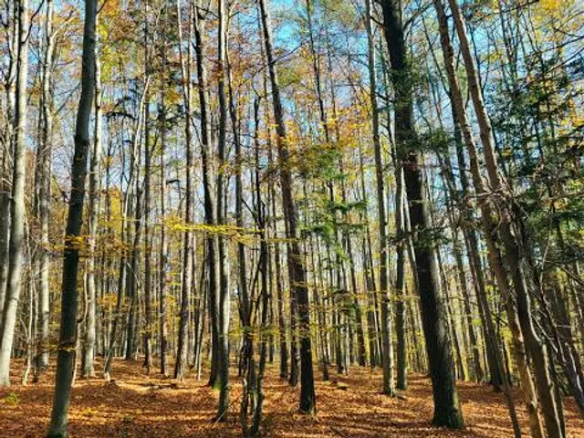 Wienerwald Biosphere Reserve