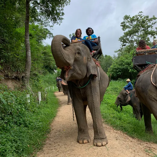 Mae Sa Elephant Camp