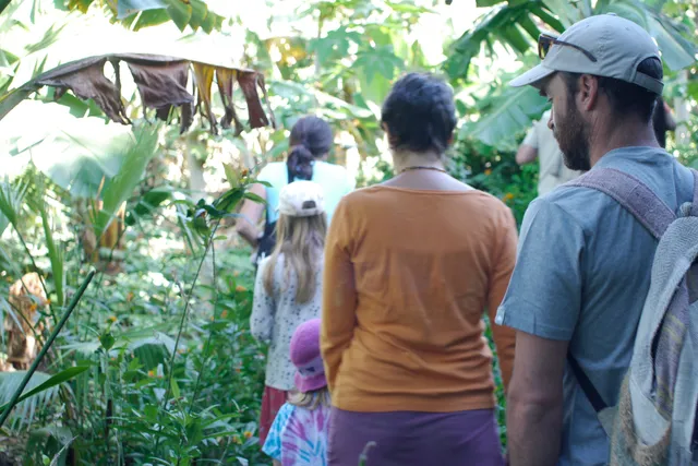 Ecofinca Platanológico