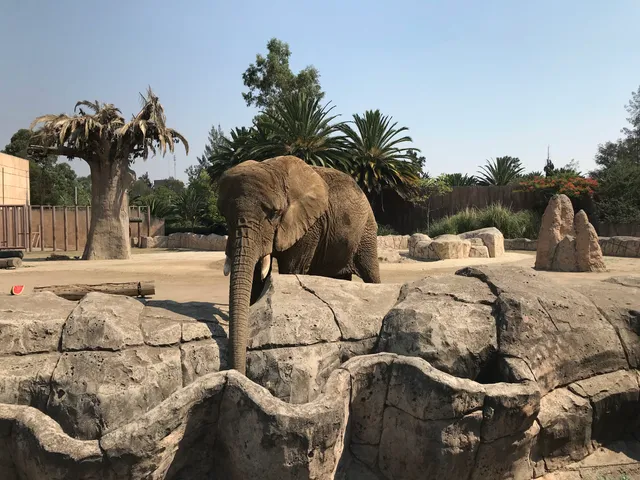 Zoo San Juan De Aragon
