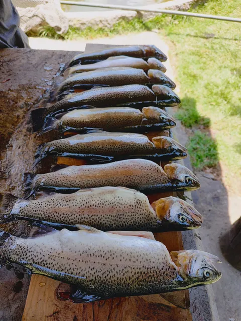 Pesca Deportiva Tepehuisco