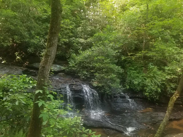 Pleasant Ridge Falls
