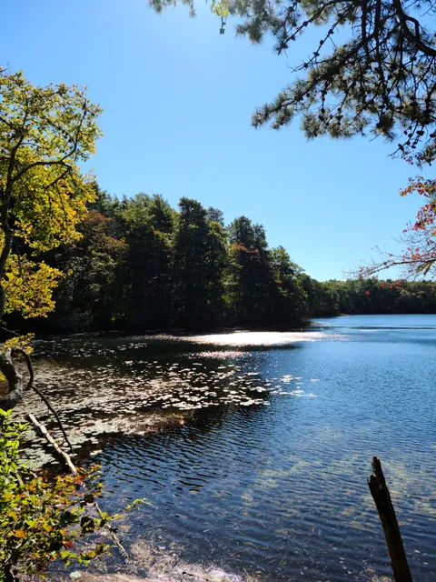 Eagle Pond and Little River Sanctuary