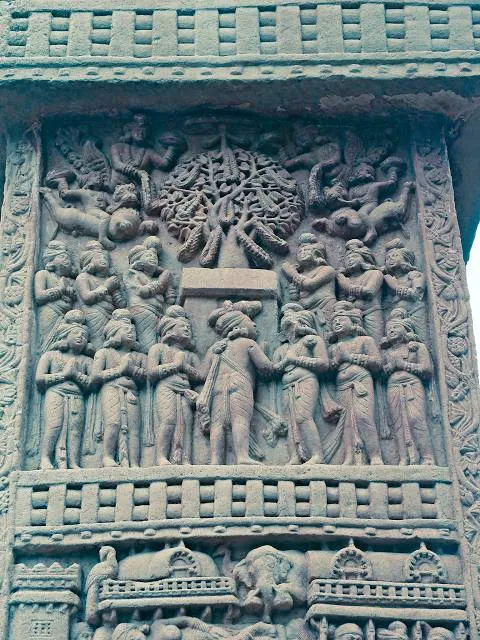 photo-3