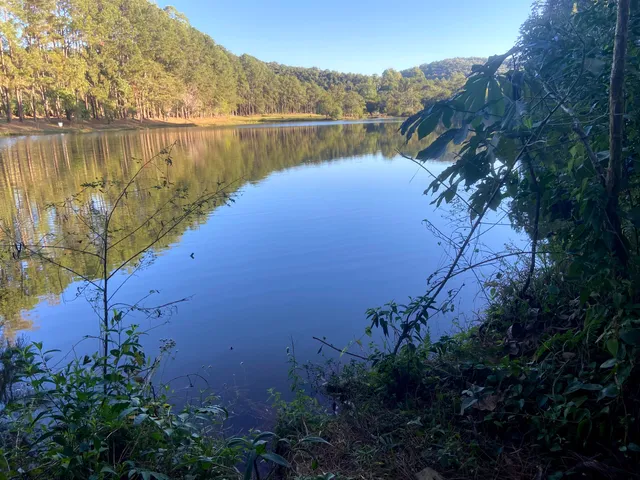 Parque Natural Municipal de Pouso Alegre