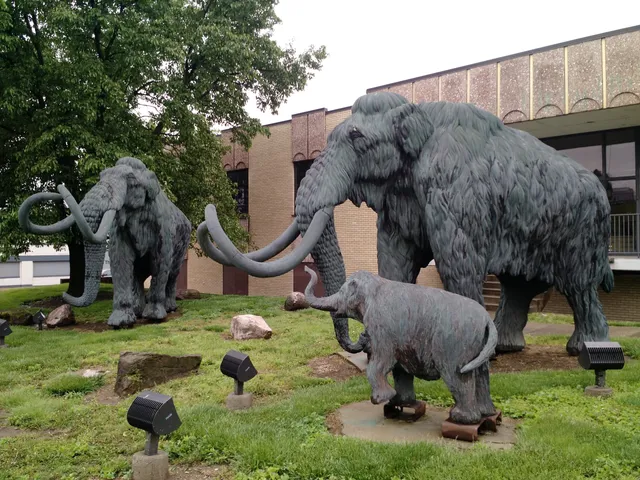 Geier Collections and Research Center