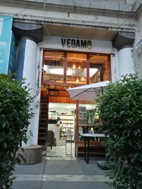 Vegamo
