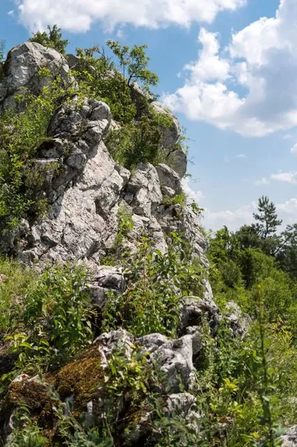 Museum Chamber of Ore Mining in Miedzianka