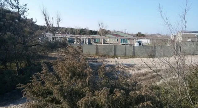 Pineta di Rosolina Mare